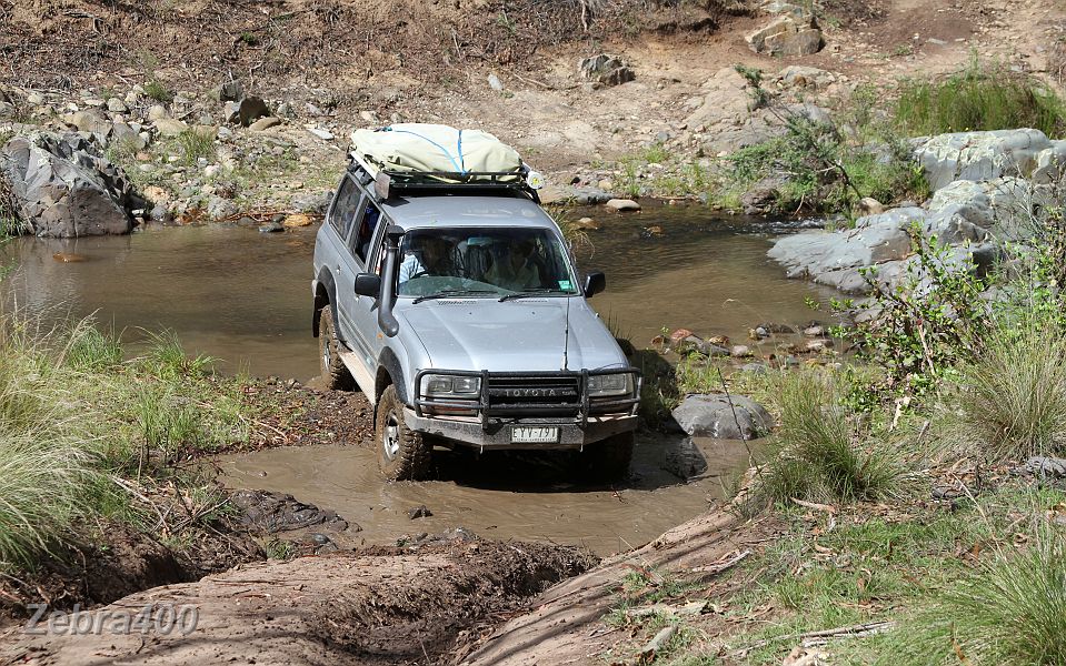 14-Manky attempts to cross the Ben Cruachan Creek.JPG